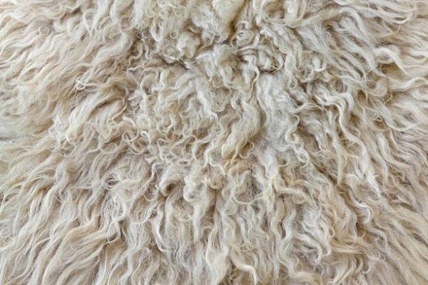 Wet and dry wool - Image 5