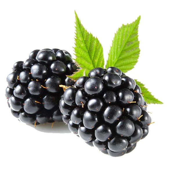 Black Berry Fruits