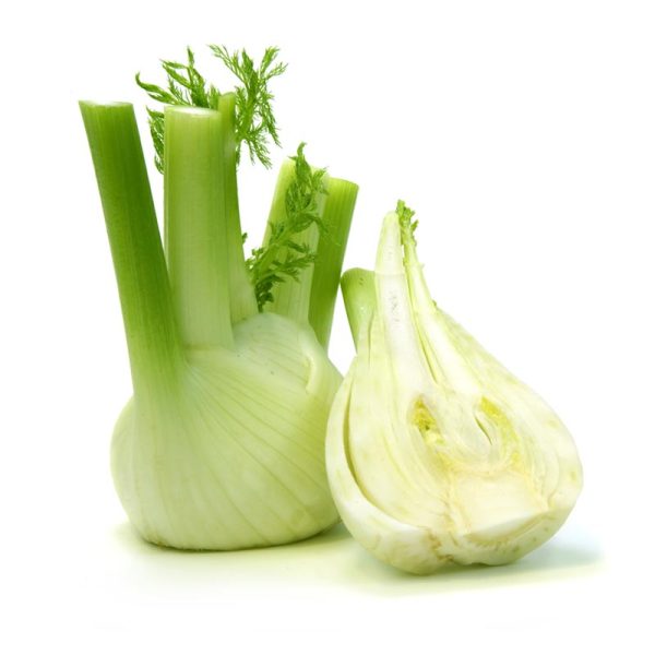 Fennel